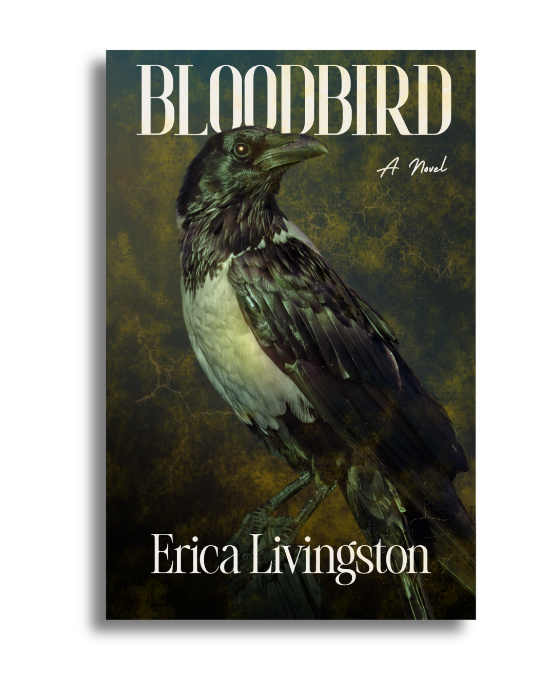 Bloodbird Cover